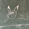 webDev's profile picture