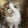 Profilbild von Yusuf