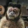 Profilbild von Enico