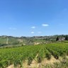 Profilbild von Barna da Siena