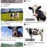 ぬうし profil fotoğrafı