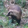 誕生日に事故にあった人 的头像