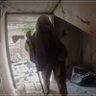 Фото профиля 🔻🦅🔻