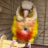 HK's profile picture