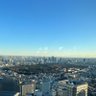 ここ！！、(多才) profil fotoğrafı