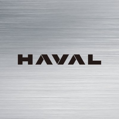 havalsaudi's profile picture