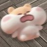 Profilbild von 糖糖