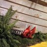 Amanda Hall's profile picture