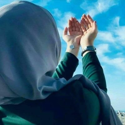 Sayyada Fatima's profile picture