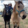 lily shepherd (aka tomboysuze)'s profile picture
