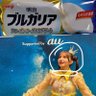 春先の柑橘類 profil fotoğrafı