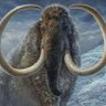 Фото профиля BiG_TusK 🇺🇸🧊