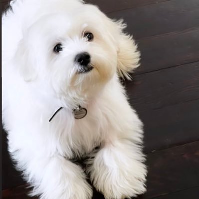 t_beckky's profile picture