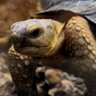 drimys profil fotoğrafı