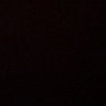 xx's profile picture
