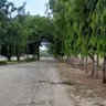 Фото профиля Nkhosi