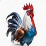 François ROBERT's profile picture