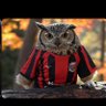 あみ profil fotoğrafı