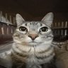 Profilbild von chuck