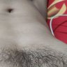 Profilbild von Cau Bengkok
