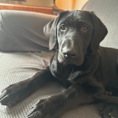 Bev 🇨🇦's profile picture