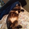 Teresa's profile picture