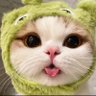 ezgi's profile picture