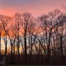 Фото профиля Sully Hank