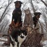 Фото профиля Kiki