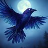Profilbild von Raven