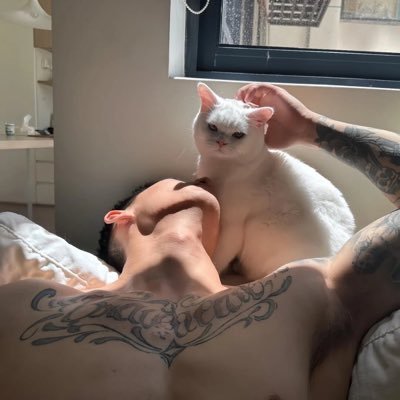 Gestern's profile picture
