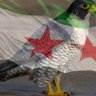 ابو ناصر النعيمي profil fotoğrafı