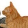Pato's profile picture