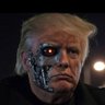 The TRUMPINATOR ⚡️ 的头像