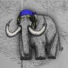 Profilbild von Jerry