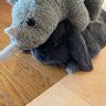 クラポペ 的头像