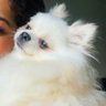 JJanuuuuuuuuuu's profile picture