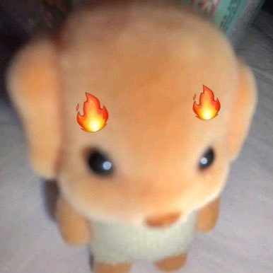 koiko2z's profile picture