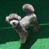 Jillのしっぽ 的头像