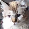 EvaM.Gargallo's profile picture