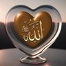 Mohd S Ansari💓مُحمّد شہنواز انصاری profil fotoğrafı