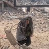 Profilbild von م میردل قریشی