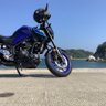 "あお"とぉ🇩🇪 的头像