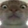 Profilbild von aweiyyds666