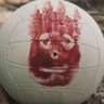 🏐WILSON! 🥶Parroty Acct. 🇺🇲🐦 🦜Fun Ghoul 💀's profile picture