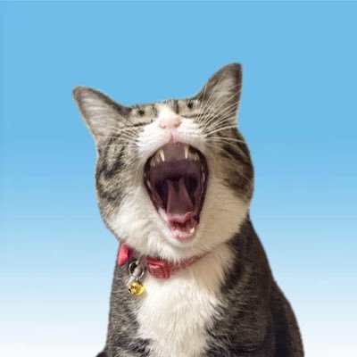 azuki_BiSH's profile picture