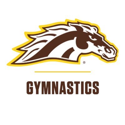 WMU_Gymnastics's profile picture