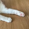 ウェイド 的头像