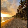 ارض العروبة profil fotoğrafı