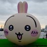 ↖↓煞氣ㄟ@▼@烏薩奇@▽@寰神结↑↘'s profile picture